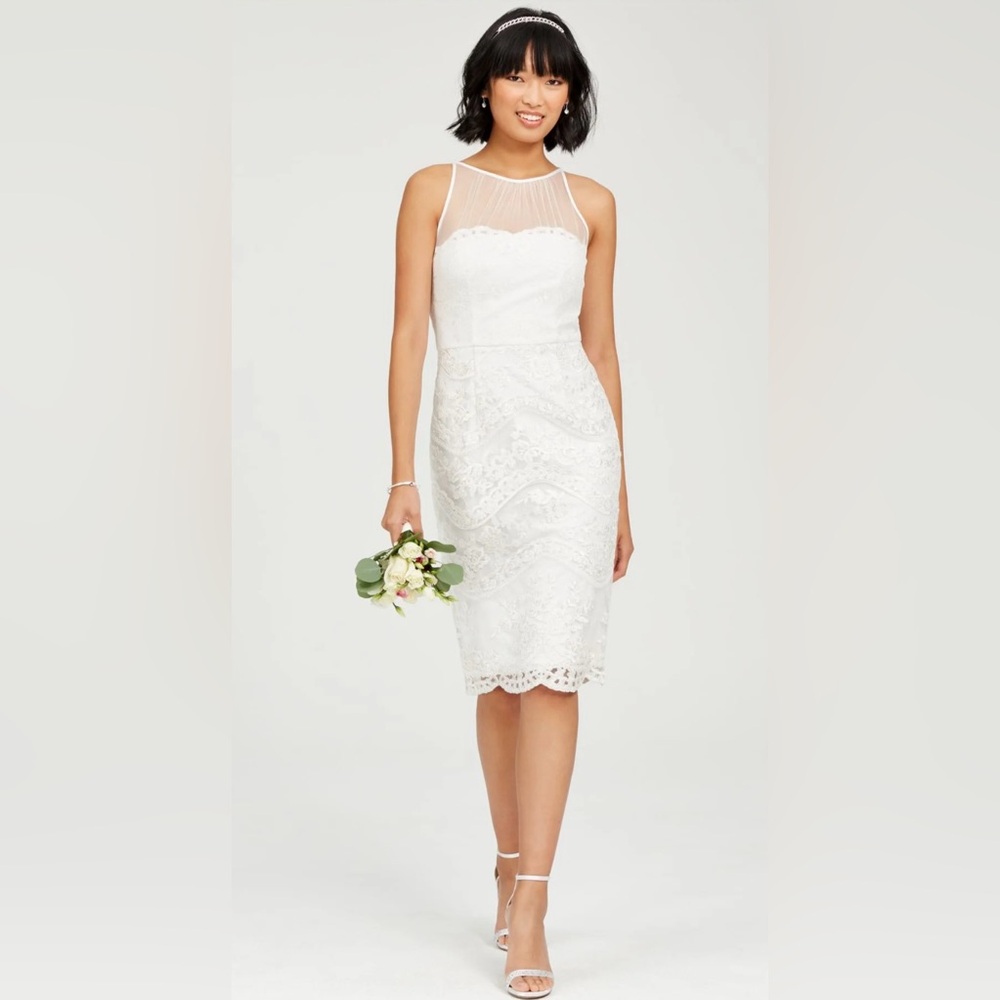 Ardrianna Papelle NWT ivory lace and sequin sheath dress.  Gorgeous size 2 - Picture 4 of 11